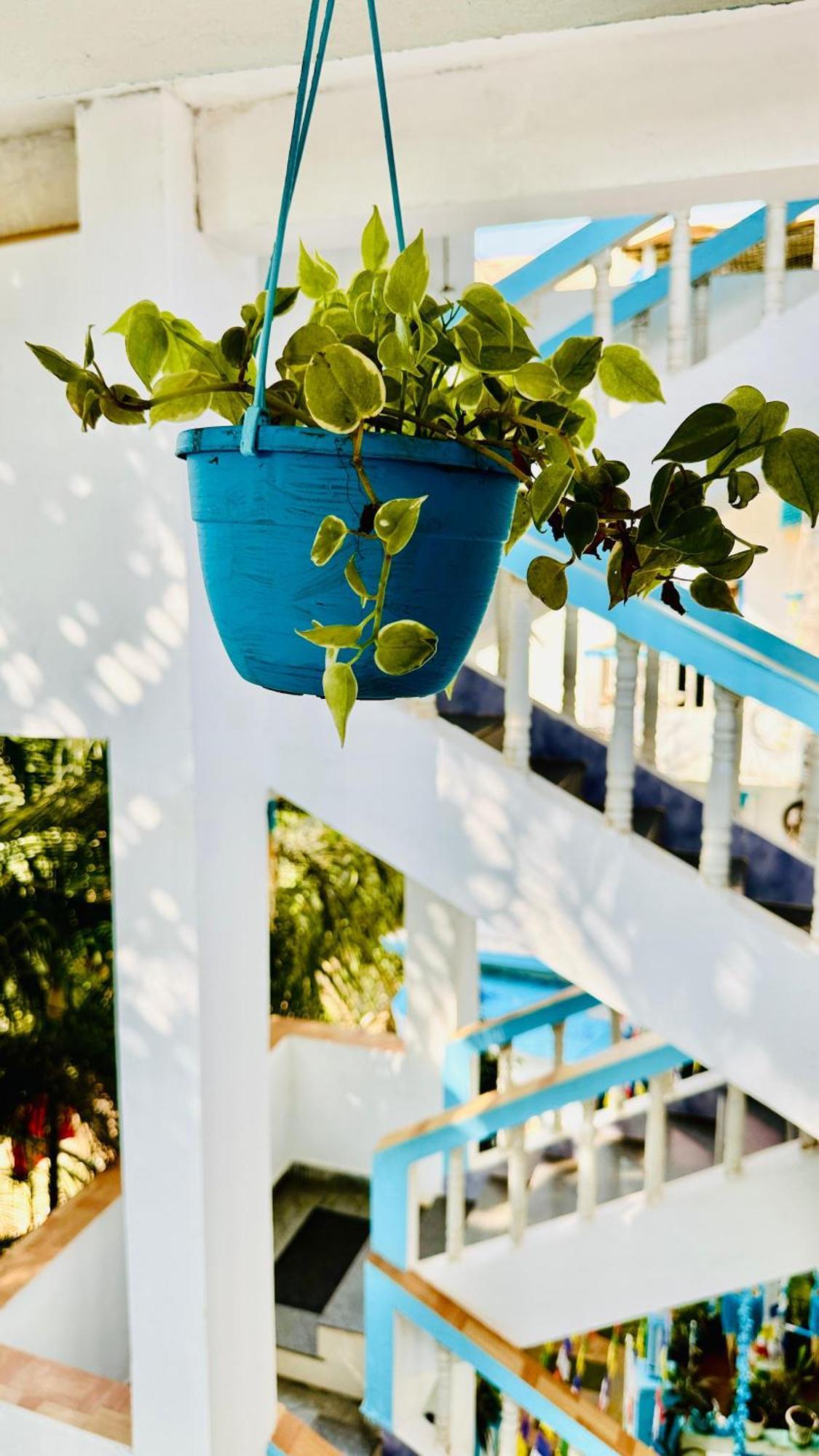 Omkar Wellness Inn 아람볼 외부 사진