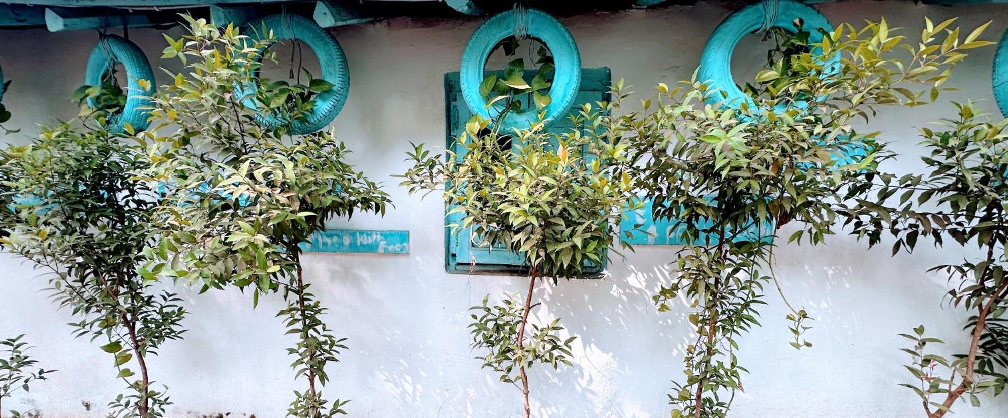 Omkar Wellness Inn 아람볼 외부 사진
